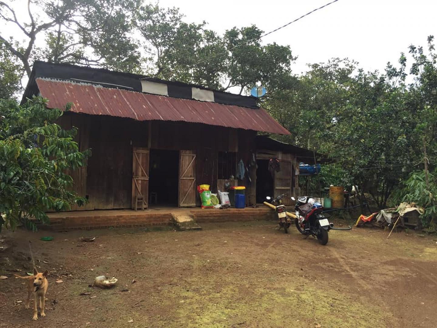 Bán 2ha1 đất điện nước đầy đủ hiện trồng điều xen cao su và cà phê Thôn 1 Đoàn Kết LH 0343022221